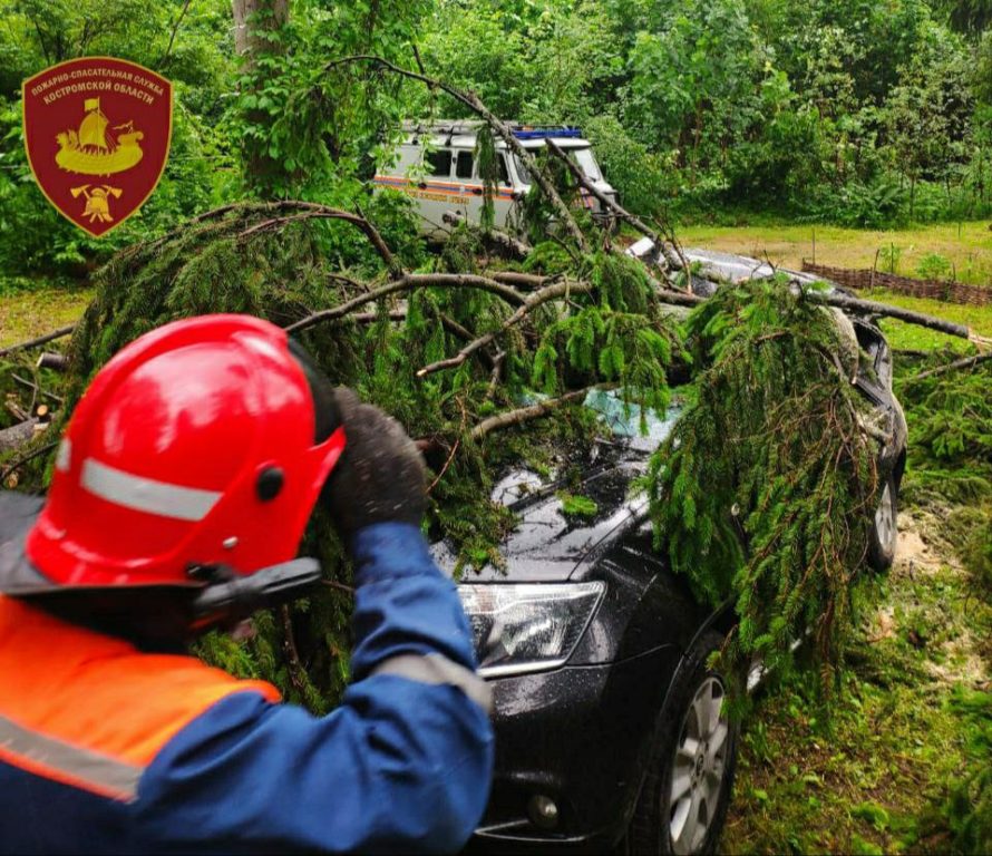 Упавшее дерево уничтожило внедорожник возле костромского санатория «Колос»