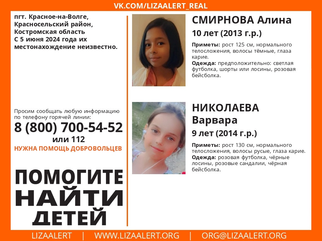 Две маленькие девочки пропали в Костромской области
