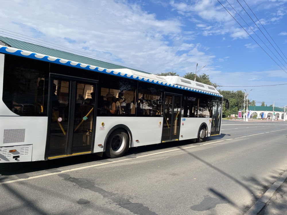 Для костромской молодежи пустят несколько ночных автобусов