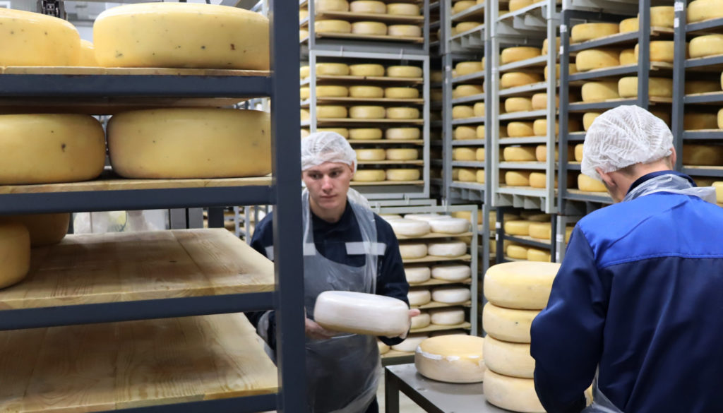В Костромской области восстановят еще одно производство сыров