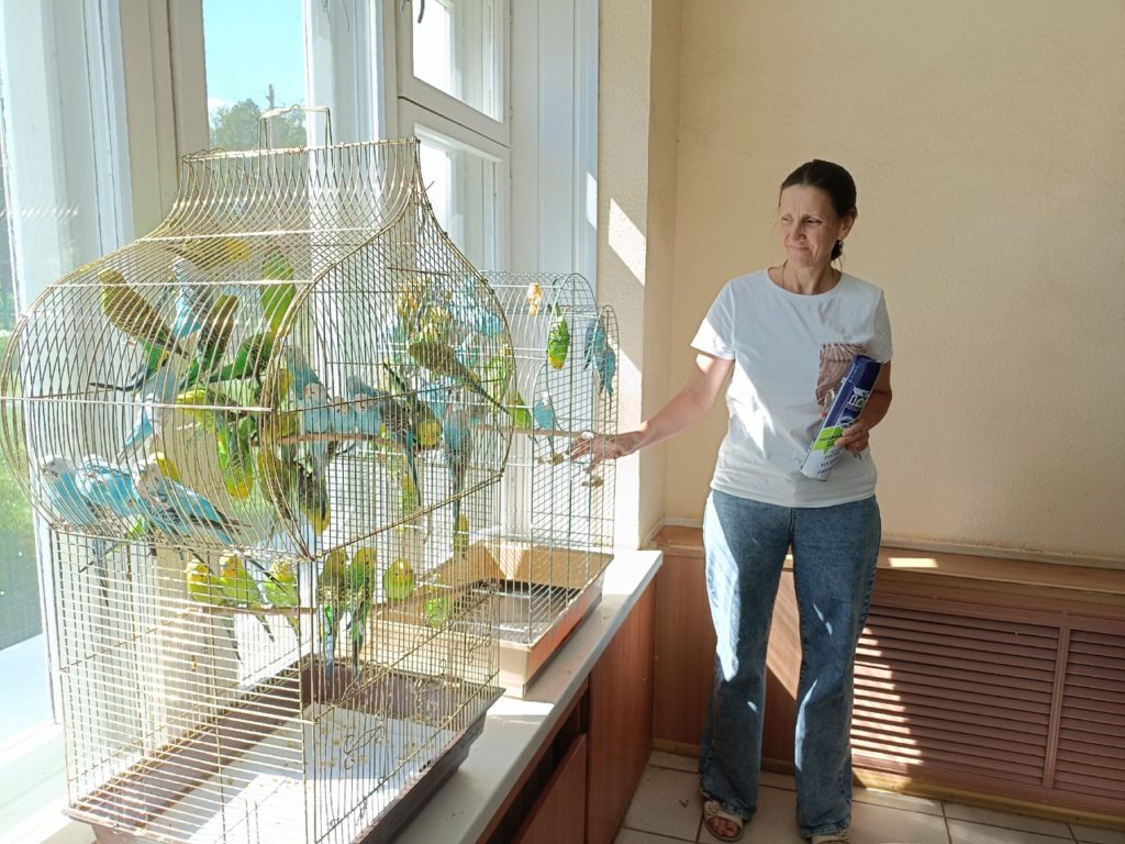 В дома костромичей переехали десятки попугаев из сельхозакадемии
