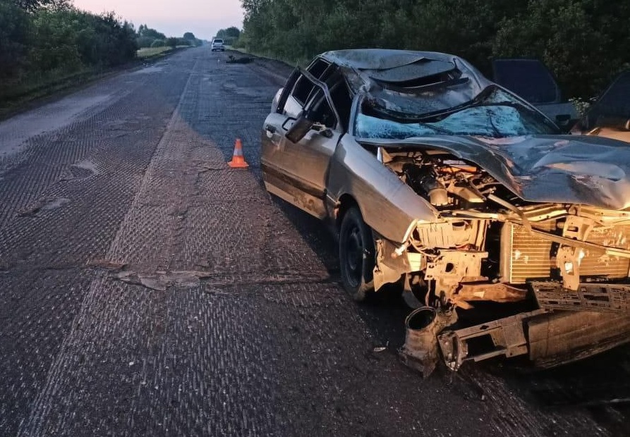 19-летний водитель погиб на костромской трассе после столкновения с лосем