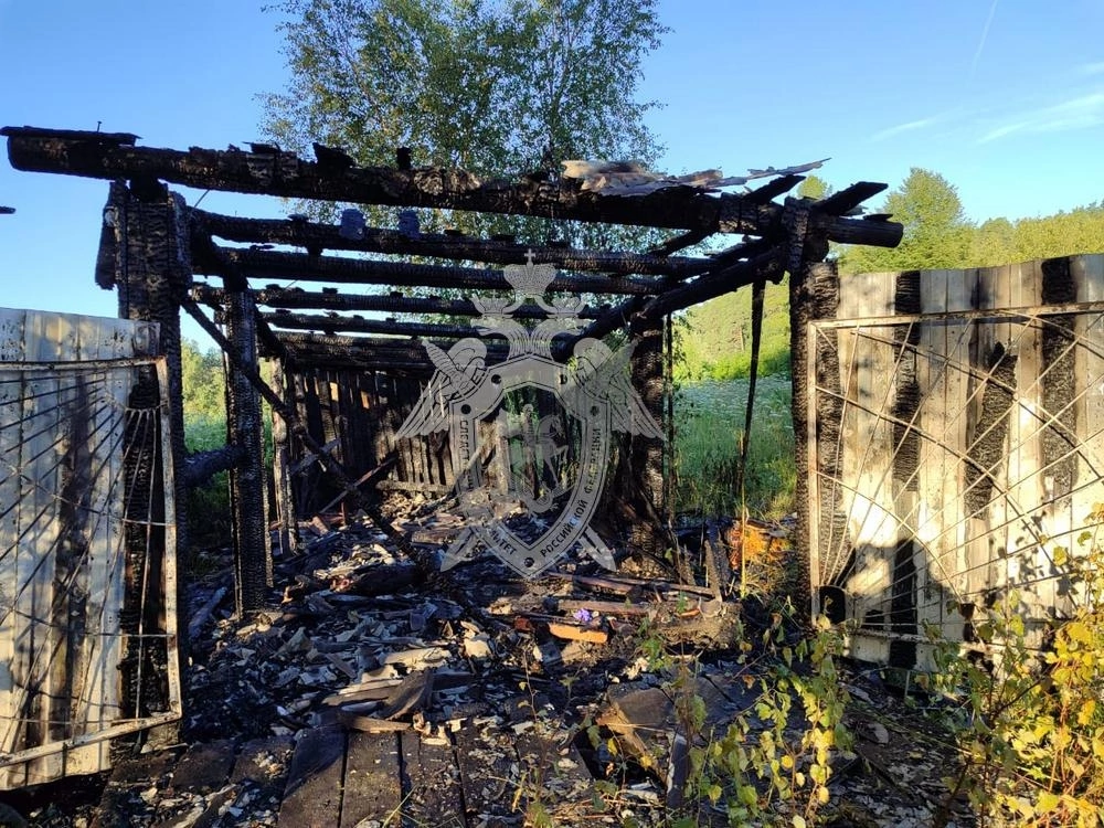 В Костромской области во время пожара погиб мужчина