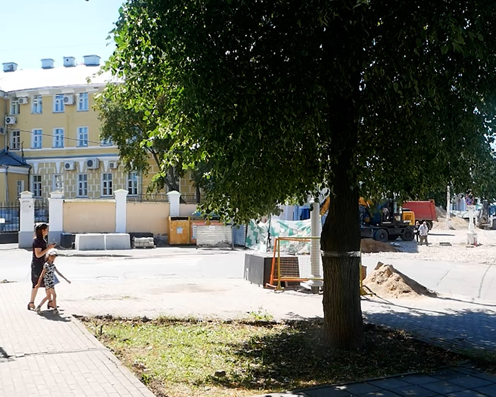 «Адская Сковородка»: экологи и активисты борются за спасение деревьев в центре Костромы