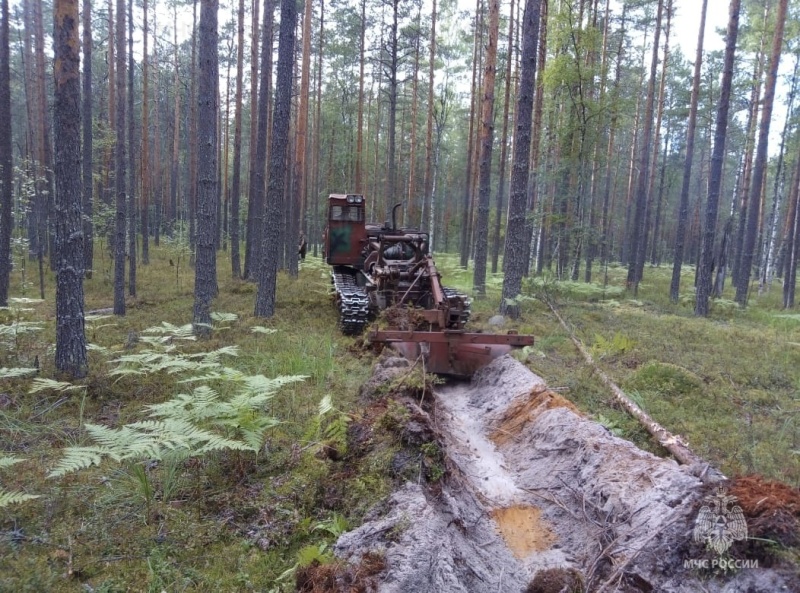 В Костромской области из-за грозы вспыхнул макарьевский лес