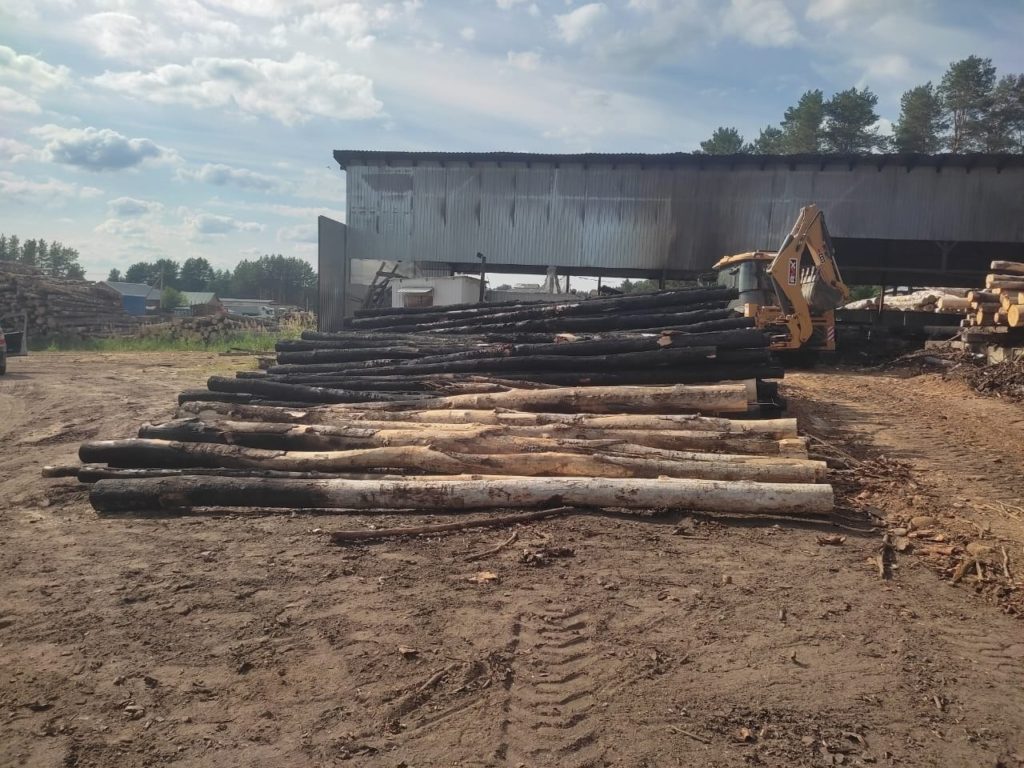 Бывший сотрудник лесопилки из мести поджёг цех деревообработки в Костромской области