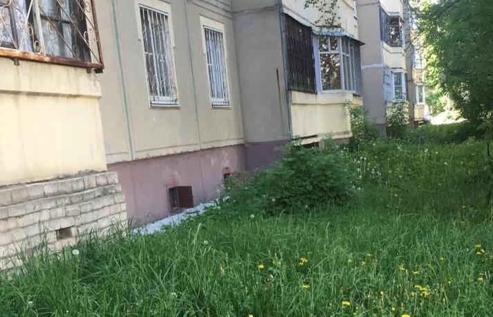 В Костроме усилили контроль за окосами травы на придомовых территориях
