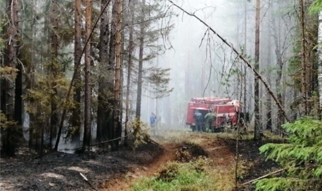 В костромских лесах усиливают патрулирование из-за пожаров