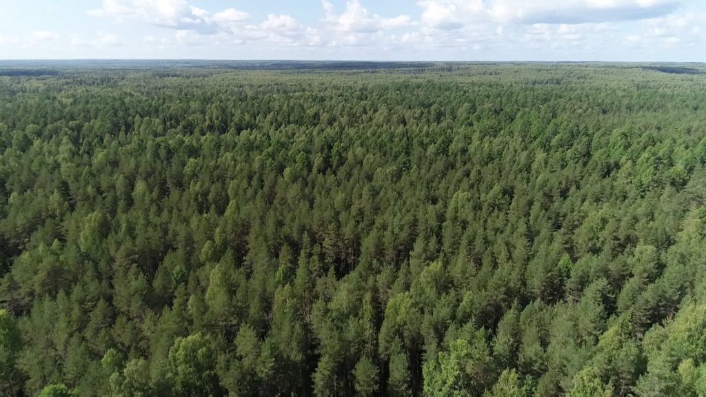 В Костромской области ожидается чрезвычайно высокий класс пожарной опасности