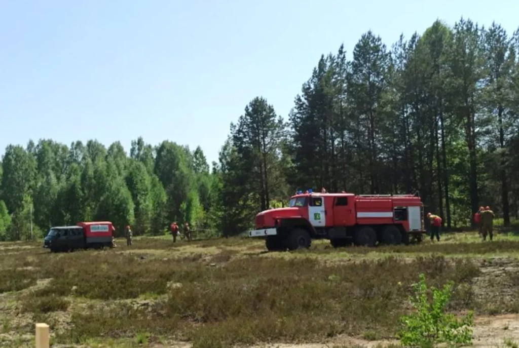 Лесной пожар в Костромской области тушили почти 6 часов