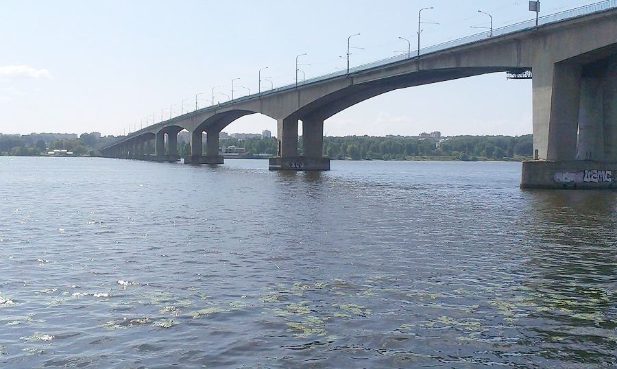 В родниках под Костромой нашли кишечную палочку и вредоносные бактерии