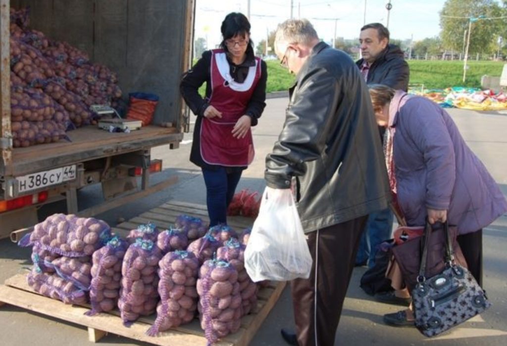 В Костромской области подешевели овощи