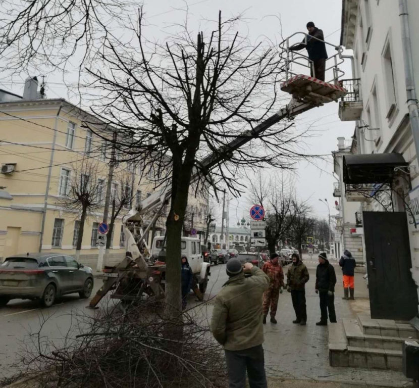 В Костроме проводят сезонные «косметические процедуры» деревьев