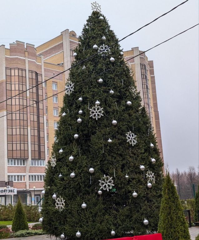 В Костроме установили первую новогоднюю елку