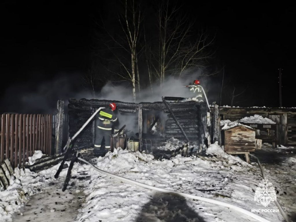 27 птиц погибли в ночном пожаре в Костромской области