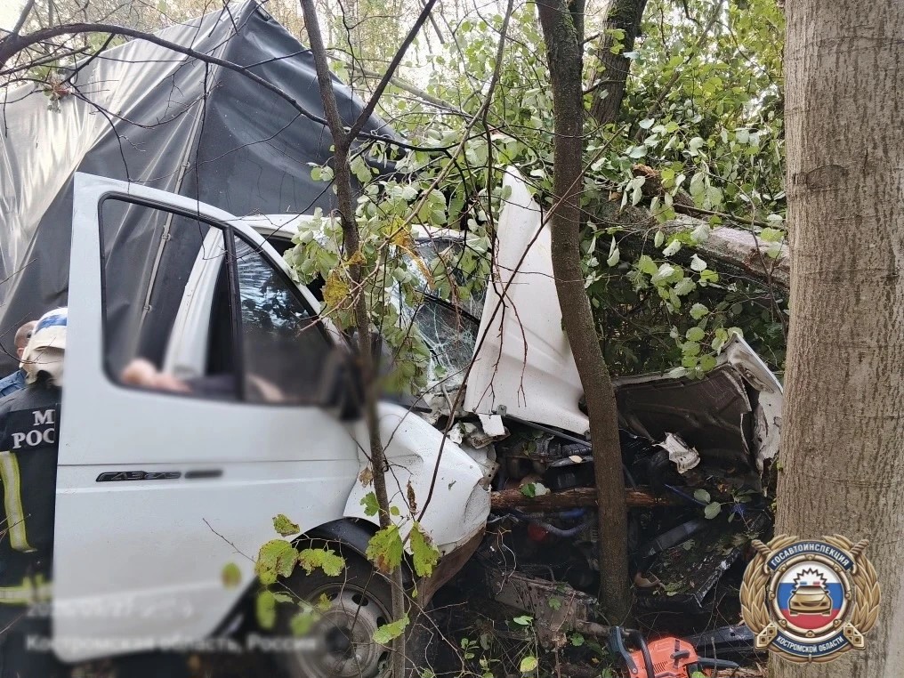 Молодой водитель разбил «Газель» на костромской трассе