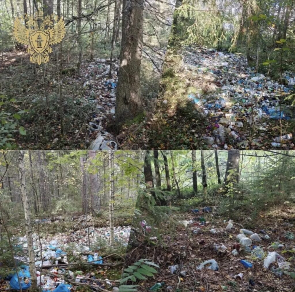 Прокуратура борется со стихийной свалкой в Костромской области
