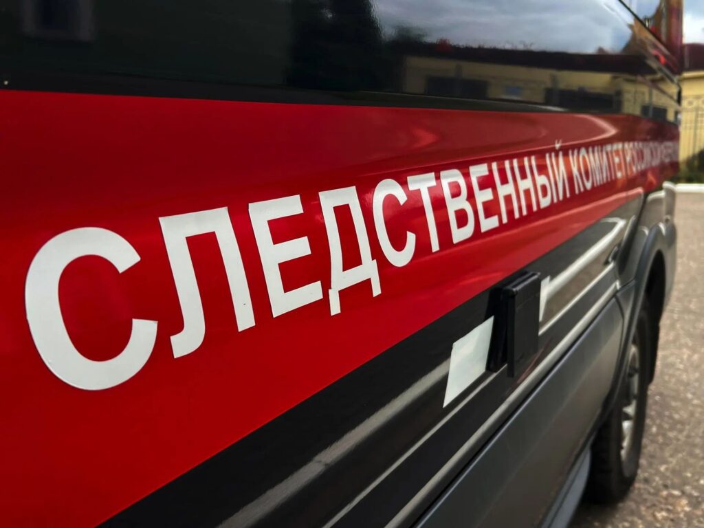 Следственный комитет начал проверку из-за нападения собак в Костромской области