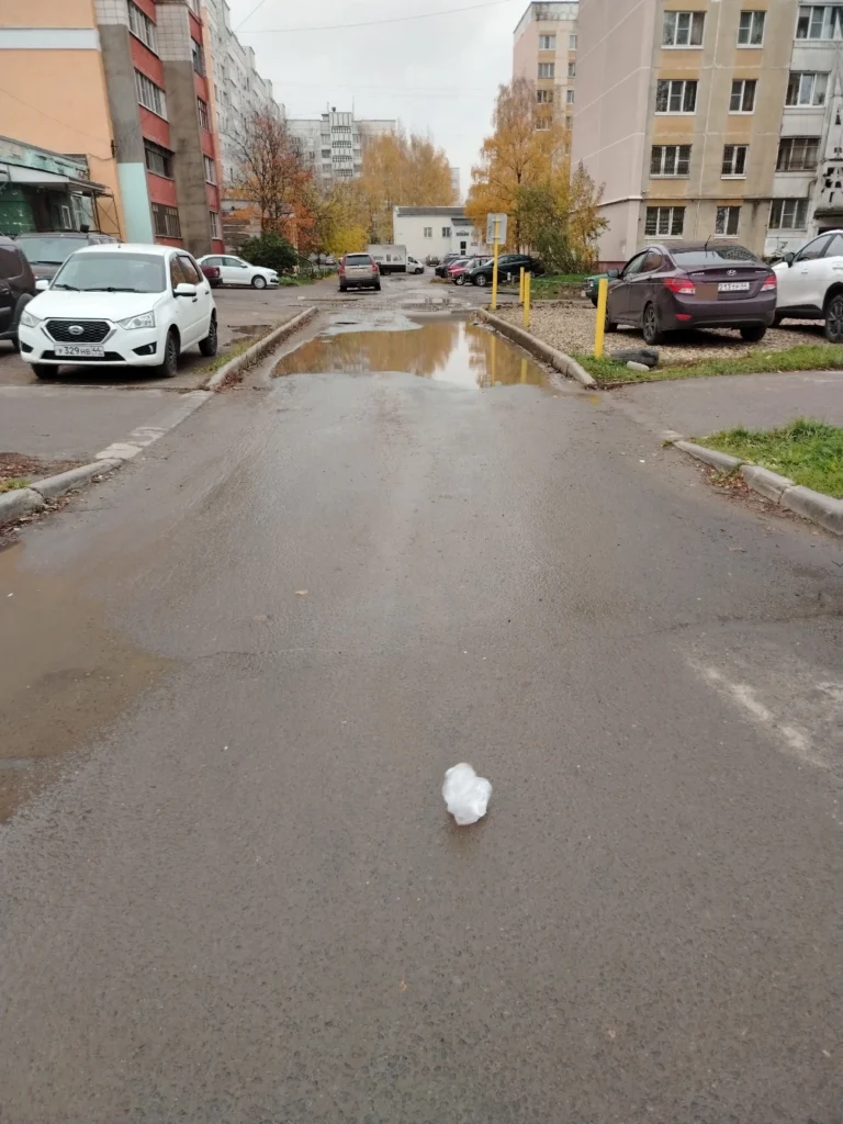 Костромичи устроили дворовую войну из-за тротуаров и вырубленных деревьев
