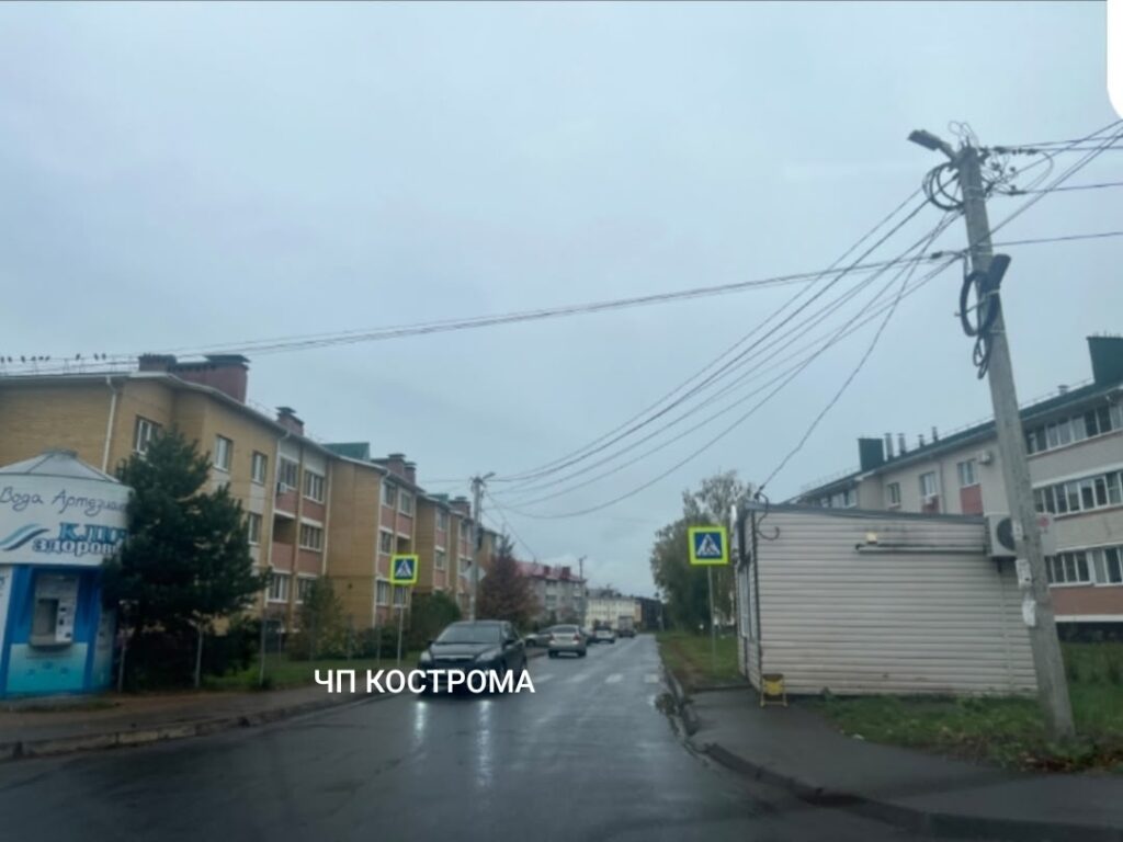 В костромской Венеции оценят безопасность нового пешеходного перехода