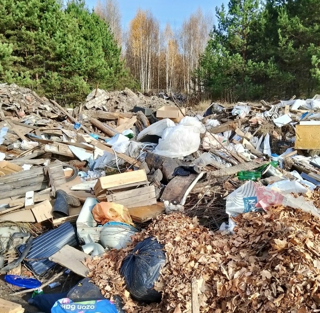 Стихийную свалку обнаружили в райцентре Костромской области